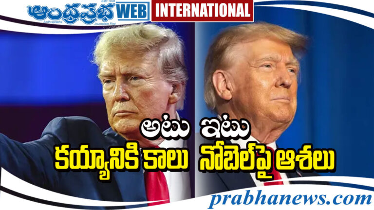 Law of International