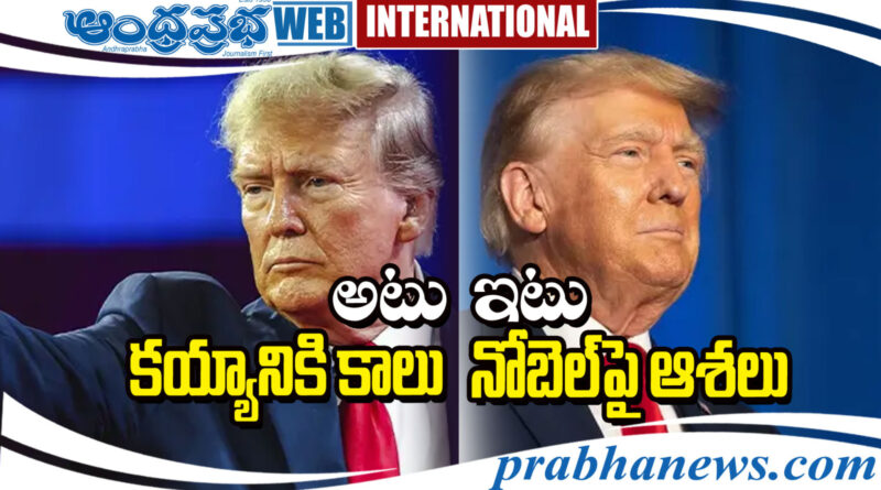 Law of International