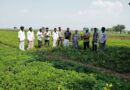 Farmer | ఏరువాక కేంద్రానికి ఉత్తమ పురస్కారం..