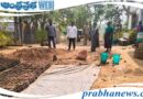 plants | నర్సరీ పనులను ప్రారంభించిన సర్పంచ్