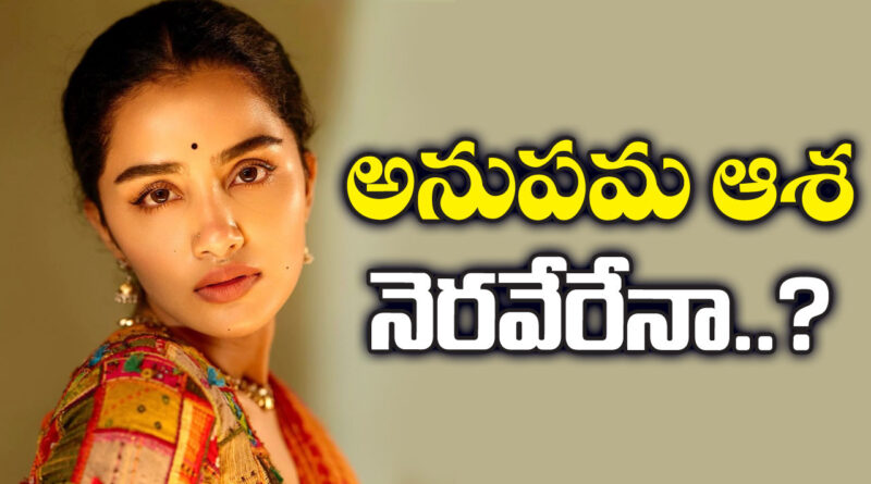 Anupama Parmeshwaran