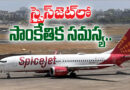 Spicejet