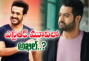 NTR -AKHIL