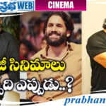 Chiru Chaithu Nikhil | ఆ మూడు సినిమాలకు విఎఫ్ఎక్స్ కష్టాలు..