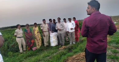 operation cannabis మిర్చితోట కాదు.. గంజాయి వ‌నం Andhra Prabha Crime News