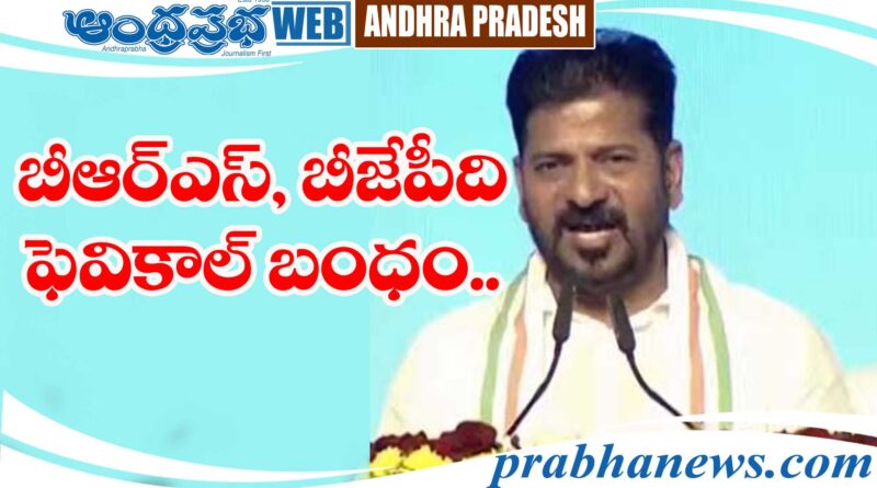 CM Revanth Reddy |