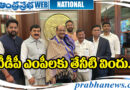 TDP MP'S