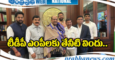 TDP MP'S