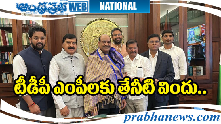 TDP MP'S