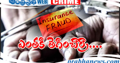 Insurance Fraud