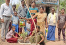 మొక్కలు నాటిన విద్యార్థులు..