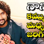 Nani | లైనప్ అదిరింది..