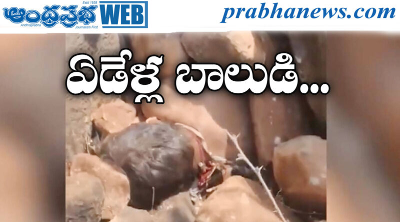 AP | అత్తమామలపై కక్షతో బావ దారుణం