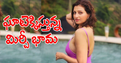 hamsa nandini | హంసా నందిని హోయ‌లు