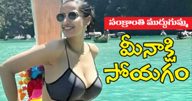 Fairy Look | మీనాక్షి చాలా హాట్​గా…