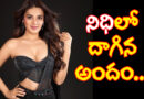 NidhhiAgerwal|క‌ల‌ర్‌ఫుల్‌గా రాజాసాబ్ బ్యూటీ