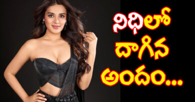 NidhhiAgerwal|క‌ల‌ర్‌ఫుల్‌గా రాజాసాబ్ బ్యూటీ