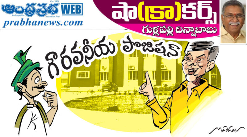 11mar2026shacrackers