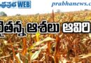 Farmer Hopes evaporate : కంపెనీల కిరికిరి Andhra Prabha SPL Story