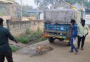 వీధి కుక్కల బెడదకు అడ్డుకట్టవేసేలా..