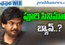 Puri jagannadh