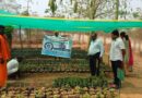 నర్సరీలో మొక్కలను సంరక్షించాలి: ఎంపీడీవో