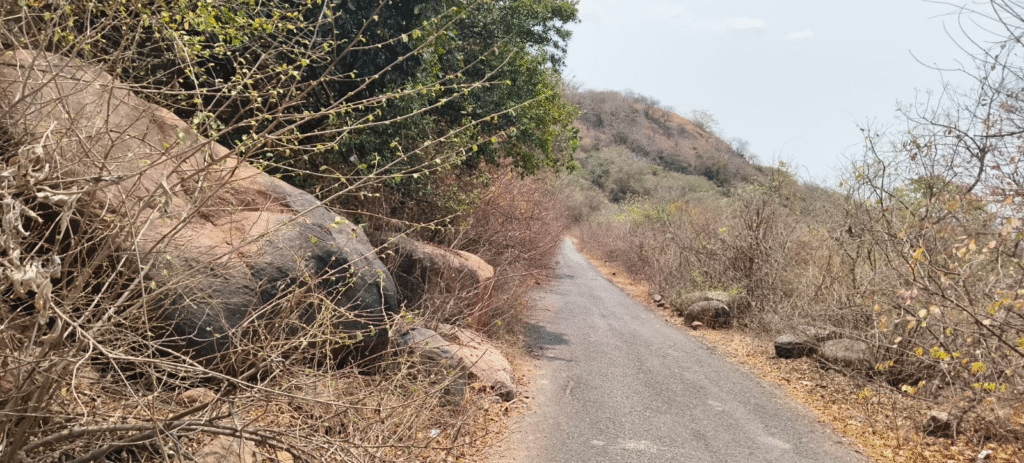 Kondapalli Fort Dargah