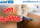 Pocharam | ఆ సినిమా తరహాలో….