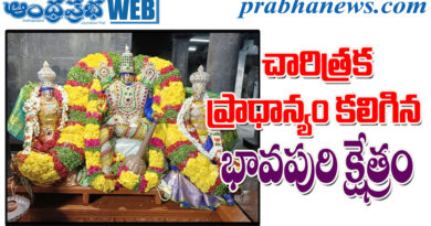 5thcentury | రథోత్సవానికి అంగరంగ వైభవంగా ఏర్పాట్లు