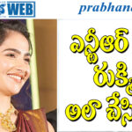 Ntr – Rukmini | త్యాగానికి ఫలితం దక్కేనా..?