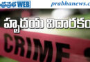 Terrible incident | అత్తను చంపిన అల్లుడు..