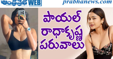 payal radhakrishna| పాపం ప్రతాప్ మూవీ బ్యూటీ సోయ‌గం..