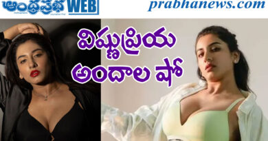 vishnu priya| బుల్లితెర న‌టి హాట్ ఫొటోలు