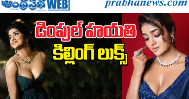 Dimple Hayathi| ర‌వితేజ హీరోయిన్ గ్లామ‌ర్ అదుర్స్‌