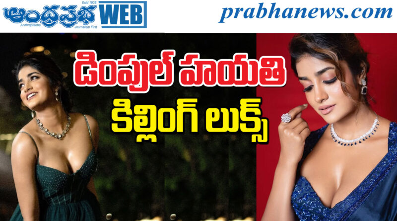 Dimple Hayathi| ర‌వితేజ హీరోయిన్ గ్లామ‌ర్ అదుర్స్‌