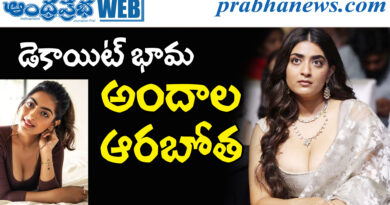 Zayn marie khan| అమీర్ ఖాన్ మేన కోడలు సొగ‌సులు