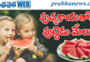 water melon |ప్ర‌యోజ‌నాలు మీకు తెలుసా..