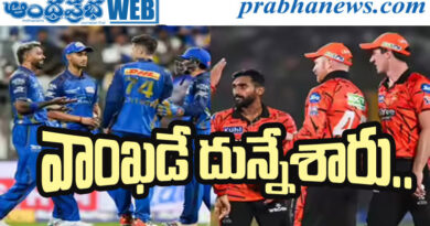 29thaprilipl