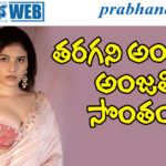 Anjali| హీరోయిన్ అంజ‌లి క్యూట్ ఫోజులు