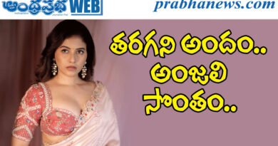 Anjali| హీరోయిన్ అంజ‌లి క్యూట్ ఫోజులు