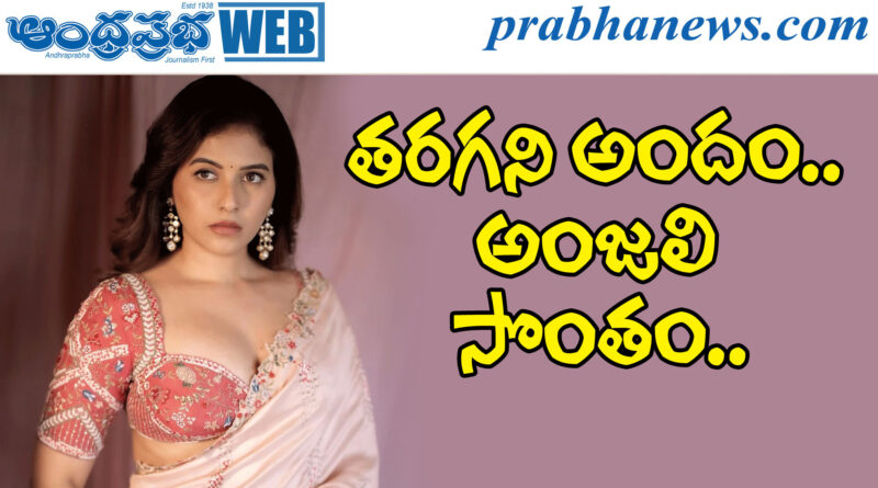 Anjali| హీరోయిన్ అంజ‌లి క్యూట్ ఫోజులు