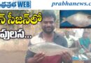 Fish Market | చిన్న చేపకే రూ.4 వేల ధర..