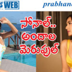 Sonal Chauhan| బాల‌య్య భామ‌.. బికినీ ఫోజులు