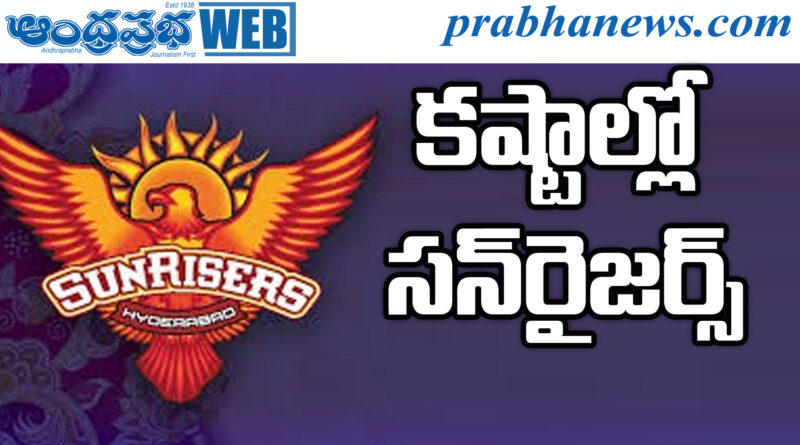 IPL Cricket