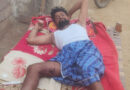 పంది దాడిలో గొర్ల కాపరికి తీవ్రగాయాలు