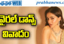 Chand Mera Dil | అనన్యపై నెటిజన్ల సెటైర్ల వర్షం..
