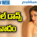 Chand Mera Dil | అనన్యపై నెటిజన్ల సెటైర్ల వర్షం..