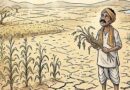 కర్నూలు జిల్లాలో వర్షాభావం.. రైతుల్లో ఆందోళన