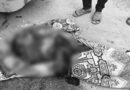 ఆస్తి కోసం అక్కను దారుణంగా హత్య చేసిన తమ్ముడు