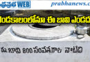 800yearold | నాటి కాకతీయుల ఇంజనీరింగ్ అద్భుతం!
